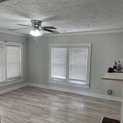 PAINTING SERVICES